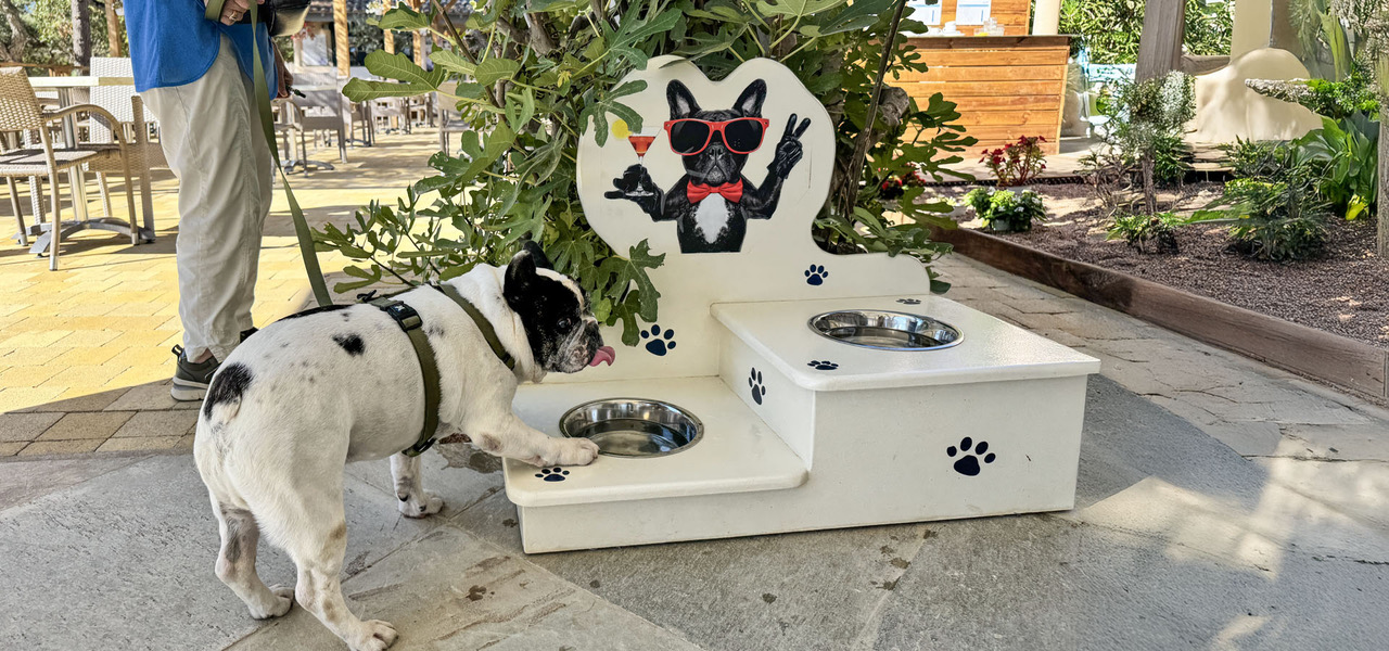 Camping la vetta chien bar eau
